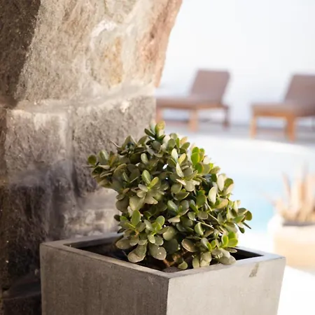 Hotel a capsule Noir Santorini Monolithos