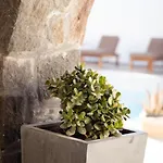 Hôtel capsule Noir Santorini Monolithos